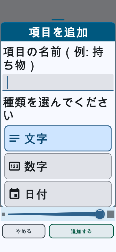 項目を追加する画面。文字をいちばん大きくした状態で、項目の名前の欄と、文字・数字・日付などの種類が縦に並んでいる。